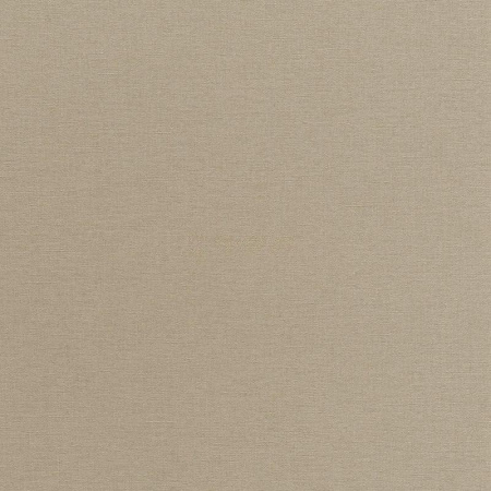 фото Rasch Florentine 2 (2019) 449815