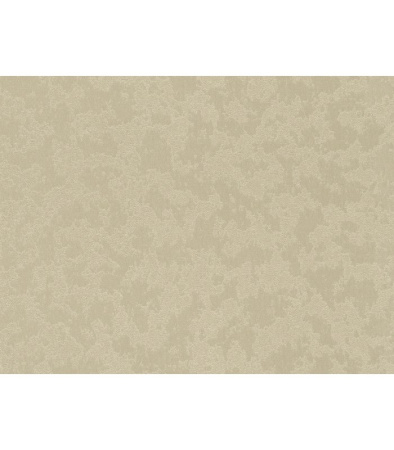 фото Rasch Dovizia 2015 575538