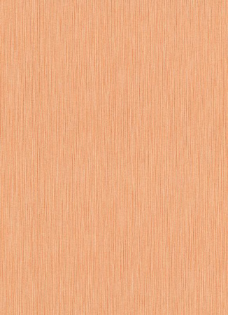 фото Erismann Summer Beat 5424-04