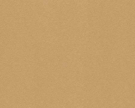 фото A.S.Creation Versace Wallpaper 935483