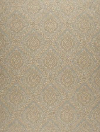 фото Calcutta Elegance elegance-111010-valiant-shearwater