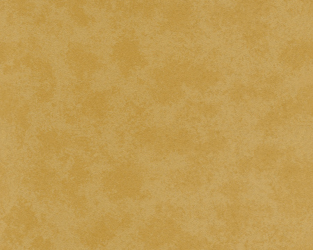 фото A.S.Creation Versace Wallpaper 935913