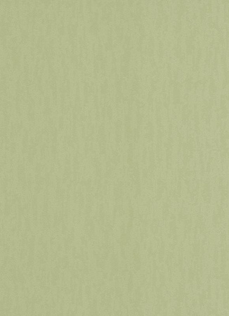 фото Erismann Livia 5217-07