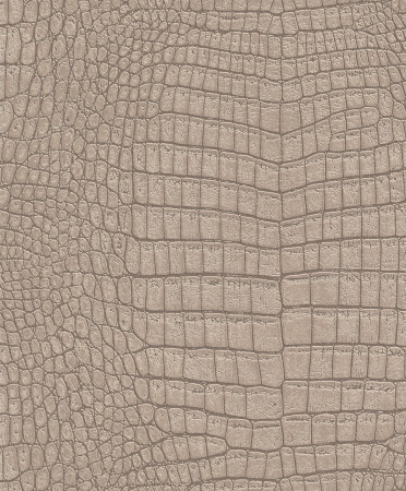 фото Rasch Modern Surfaces 475722