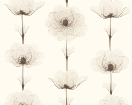 фото A.S.Creation X-Ray 34273-2