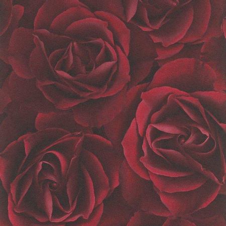 фото Rasch Crispy Paper 525625