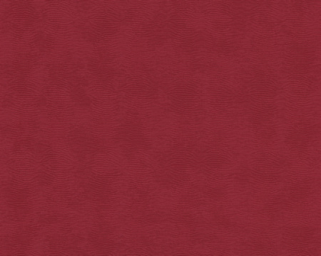 фото A.S.Creation Versace Wallpaper 935704