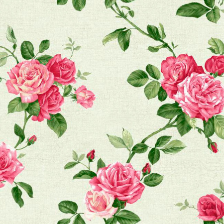 фото York Roses pn0473