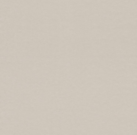 фото Rasch Cosy White 2015 269382